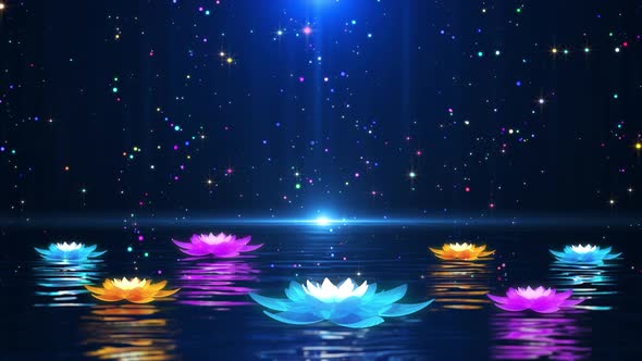 Water Lotus Background Loop