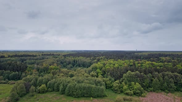 Aerial View of Forest Natural Green Background