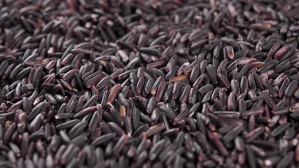 Black wild berry jasmine rice. Dry uncooked grains