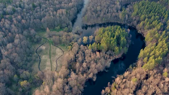 Aerial View of the River Between the Pines