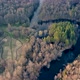 Aerial View of the River Between the Pines - VideoHive Item for Sale