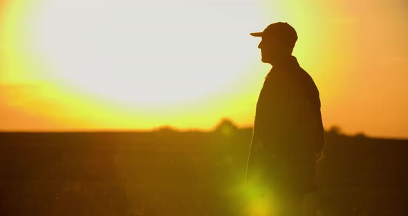 Farmer Using Digital Tablet at Farm Against Sunset