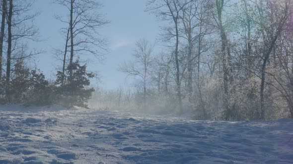 Fog over snow on  Kraljevica park hill 4K 2160p UHD footage - Hills and forest near town of Zajecar 