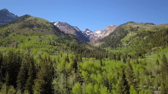 Aerial view flying over thick forest towards mountains