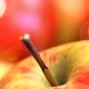 The Red-Yellow Apple. Delicious Fruit. - VideoHive Item for Sale