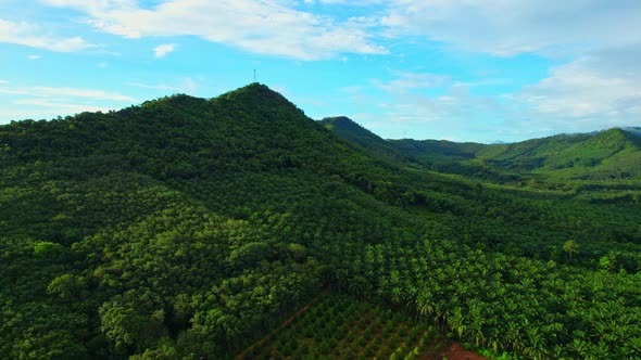 Aerial view from a drone flying over the view of Green Mountains