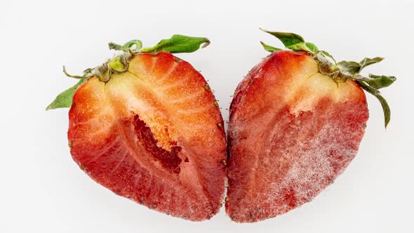 Time Lapse of Rotting Crushed Strawberries and the Development of Mold on a White Background  Video