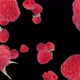 Raspberry Explosion With Fruits Flying - alpha channel included - VideoHive Item for Sale