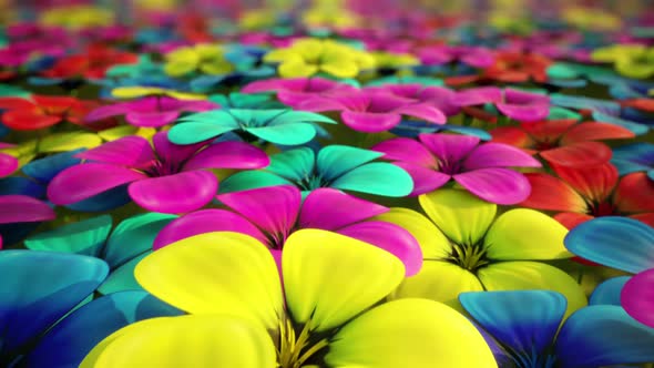 The infinite field filled with countless amount of colorful flowers. Loopable HD