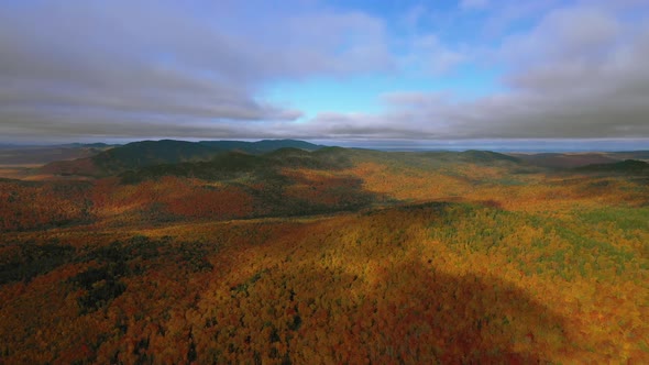 Aerial footage sliding to the right over golden autumn forest with cloud shadows