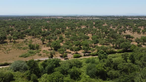 Aerial Beautiful Portuguese Green Countryside at daylight - rural environment