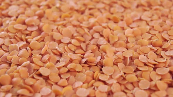 Orange dry uncooked lentils. Macro. Raw Indian legumes falling into a heap in slow motion