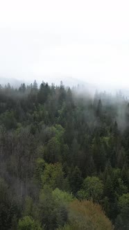 Vertical Video of Fog in the Mountains