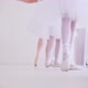 Ballerinas Repeat After the Teacher Exercises for the Legs Near Barre Stand - VideoHive Item for Sale