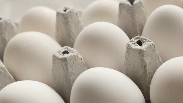 Shallow DOF chicken eggs in a box close-up panning  video