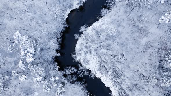 White forest and winter curvy river. Aerial view of Poland.