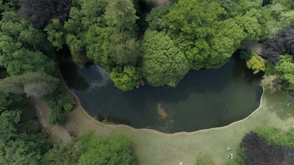 Forest River