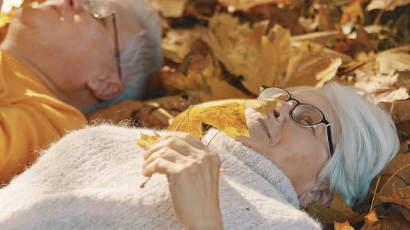 Elderly Couple Lying on the Forest Ground and Playing with Yellow Autumn Leaves. Love and Romance in