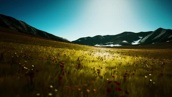 Panoramic View of Alpine Mountain Landscape in the Alps