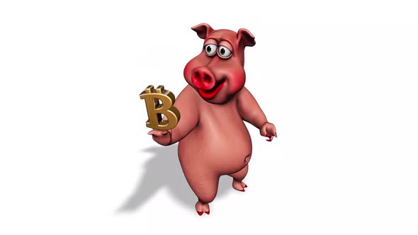 Fun 3D Pig Show Bitcoin  Looped on White