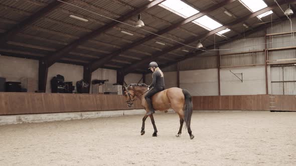 Young Woman Riding Horse Bareback In Paddock