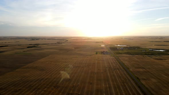 Aerial 4k drone footage of yellow and orange wheat fields during sunset in north American prairies.