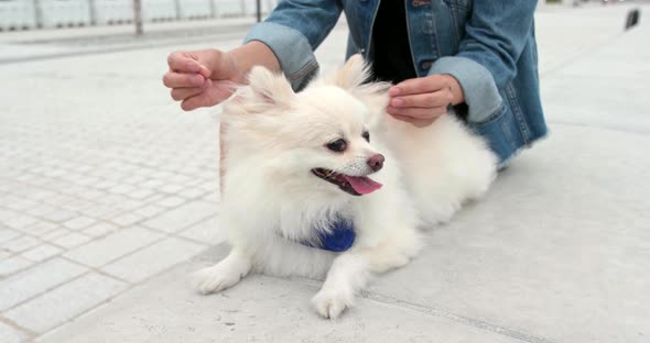 Pet owner play with her dog at outdoor