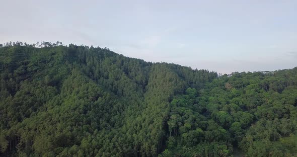 Drone shot of greened hills in tropical rainforest of Indonesia during summer