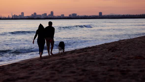 Happy couple walking with their dog on the beach