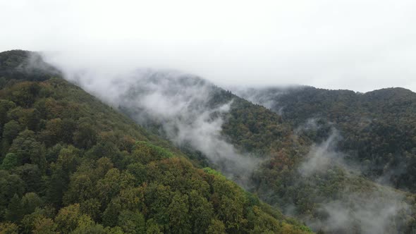 Mountains in Fog Slow Motion. Aerial View of the Carpathian Mountains in Autumn. Ukraine