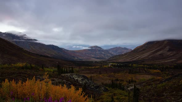 Time Lapse. View of Scenic Road From Above