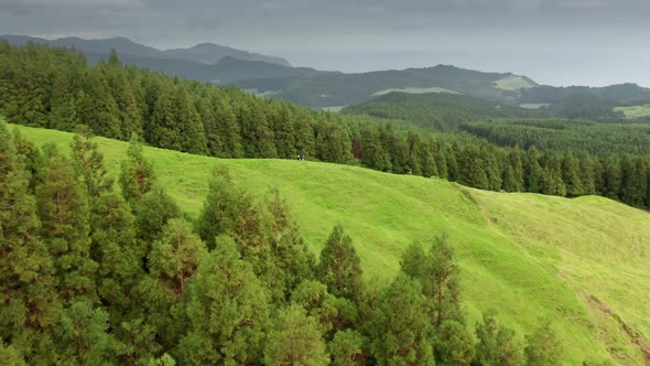 Countryside Area with Domestic Animals in Fields San Miguel Island Azores