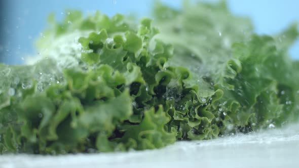 Lettuce falling and splashing in slow motion; shot on Phantom Flex 4K at 1000 fps alt