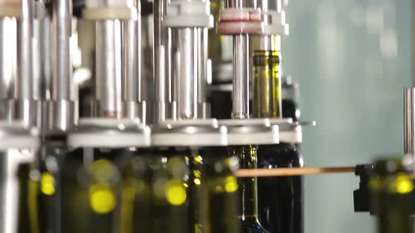 Wine Bottles Moving Along the Conveyor Line