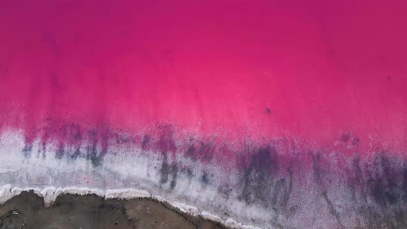 Colorful Pink Salt Lake Aerial Drone View
