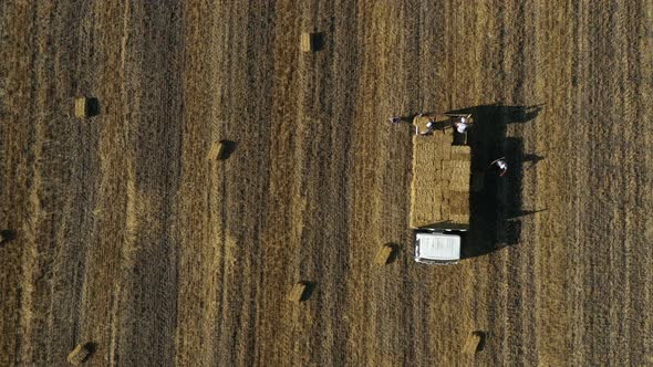 Men Load Baled Straw In A Truck 