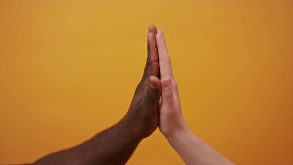 Black and White Hands Holding Together Isolated on the Orange Background. Close Up