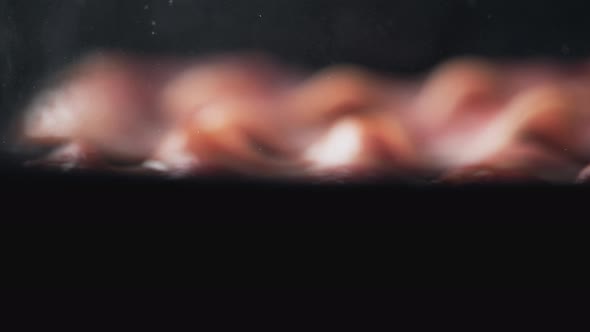 Camera follows cooking bacon on grill. Slow Motion.