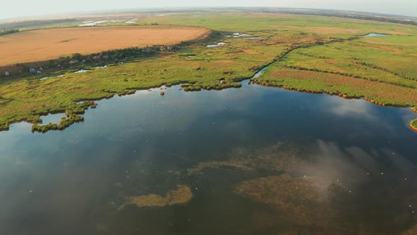 Drone View of Floodplain Among Green Vegetation