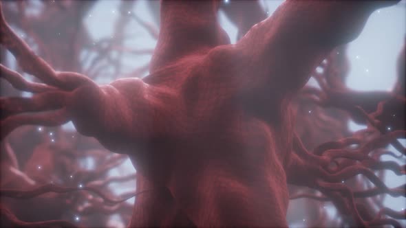 Journey Through a Neuron Cell Network Inside the Brain alt