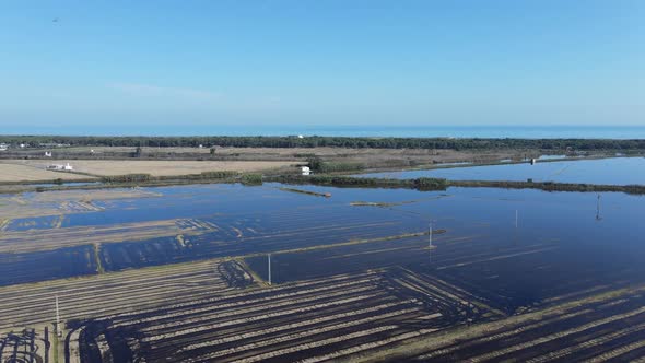Beautiful Aerial Drone Footage of Rows Agricultural Field and Water Irrigation Submerged in Water