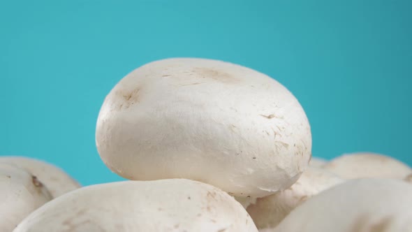 A champignon white mushroom with a textured cap rotates in a group