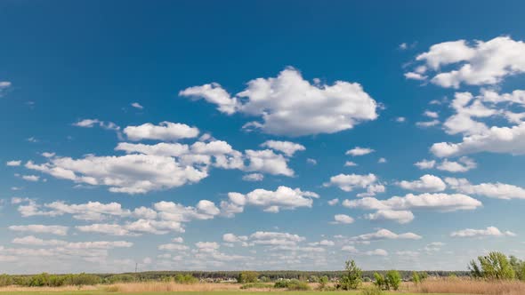 Green Field and Blue Sky with White Cloud Timelapse