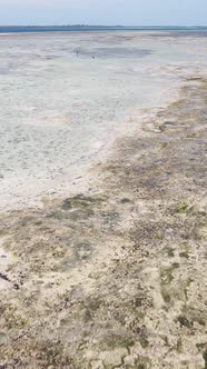 Tanzania  Vertical Video of Low Tide in the Ocean Near the Coast of Zanzibar Slow Motion