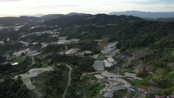 Cameron Highlands, Pahang Malaysia