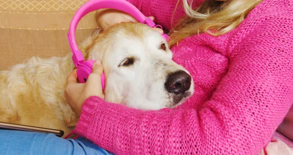Woman mounting headphone on dogs ear on sofa 4k