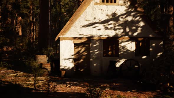 Old Wooden House in the Autumn Forest