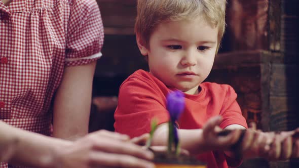 Cute Son Helps Mother To Care Plants Flowers in Pot at Home. Mother and Son Gardening, Happy Family.