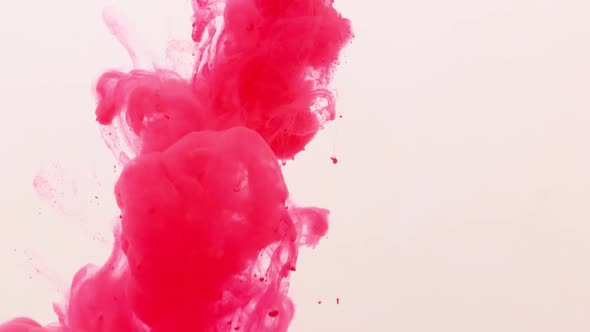 Pink Red Paint Explodes and Sprays in the Water on a White Background
