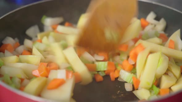 Cooking Fried Vegetables Carrots Celery Onions Potatoes